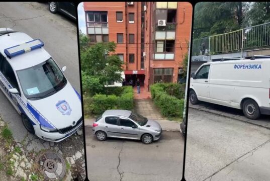 Ubistvo muškarca na Čukarici, žena osumnjičena nakon intervencije policije