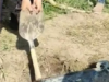 EKSKLUZIVNO! Slike sa lica mesta: Ovo je bure u kojem je nađeno telo Aleksandra Nešovića Baje (FOTO)