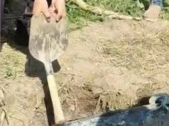 EKSKLUZIVNO! Slike sa lica mesta: Ovo je bure u kojem je nađeno telo Aleksandra Nešovića Baje (FOTO)