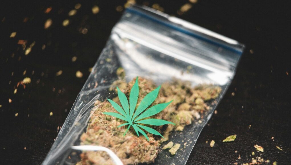 Photo by GRAS GRÜN ground cannabis on clear plastic bag