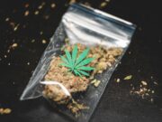 Policija razbila lanac krijumčarenja kanabisa između Kalifornije i Pariza, uhapšeno više osoba ground cannabis on clear plastic bag