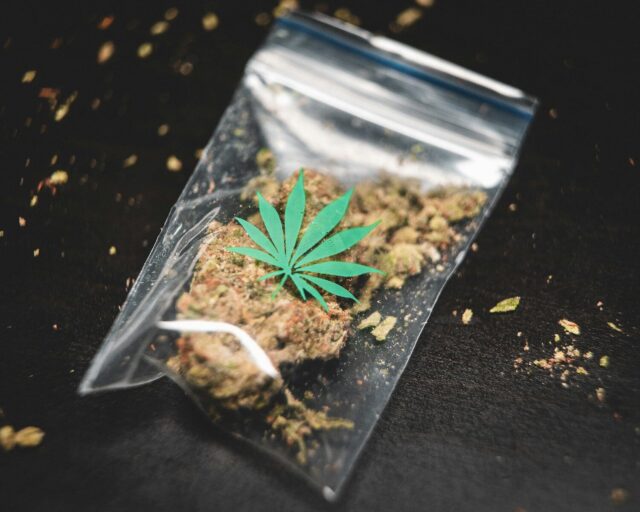 Photo by GRAS GRÜN ground cannabis on clear plastic bag