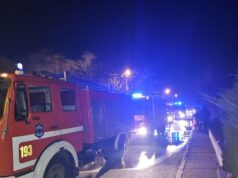 Požar zahvatio nisko rastinje na Pančevačkom putu, vatrogasci sprečili širenje