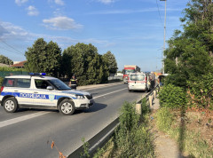 396101_cacak-udes-stradali_s-1