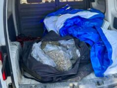 Policija kod Leskovca pronašla 10 kilograma marihuane u automobilu, vozač uhapšen
