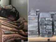 Policija u Nemačkoj i Srbiji zaplenila skoro 700 kilograma kokaina, uhapšeno deset osoba