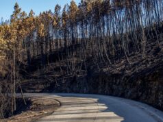 Požar u departmanu Od, osumnjičen radnik šumarske službe, jedna žena stradala