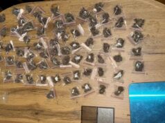 Policija u Novom Sadu zaplenila amfetamin, marihuanu i kokain, uhapšen muškarac