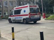 Muškarac preminuo nakon napada roja osa na imanju u Ripnju