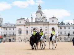 Učiteljica ubijena tokom šetnje u parku u Londonu, osumnjičeni uhapšen