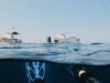 Nestanak ronioca kod obale Puerto Madryn, instruktor pod istragom