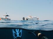 Nestanak ronioca kod obale Puerto Madryn, instruktor pod istragom