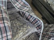 HRONIKAMAGAZIN.RS SAZNAJE: Zaplenjeno 60 kilograma marihuane, uhapšen muškarac iz Beograda (FOTO+VIDEO)