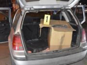 Policija u Subotici zaplenila halucinogene gljive i marihuanu, uhapšene dve osobe