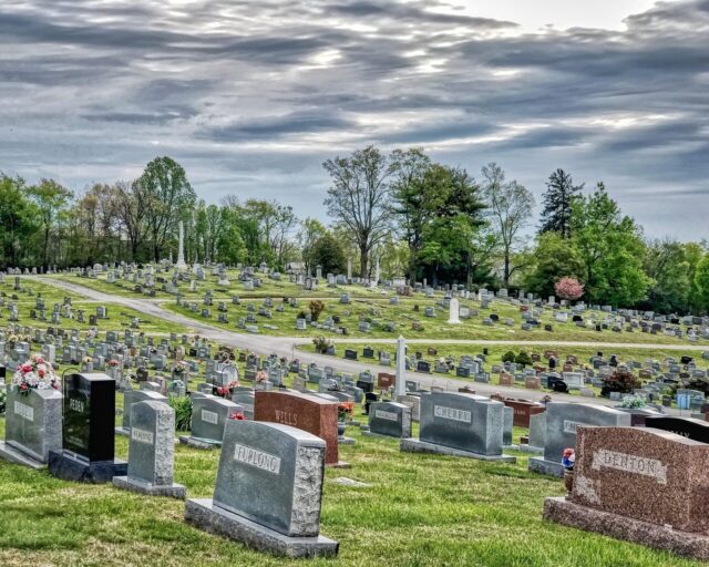 rural, country, trees, sky, landscape, countryside, farm, outdoors, field, scenic, agriculture, nature, land, earth, cemetary