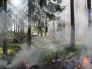 Požari u departmanu Creuse, 28-godišnjak osumnjičen za podmetanje tri požara Požari u departmanu Creuse, 28-godišnjak osumnjičen za podmetanje tri požara