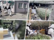 Policija otkrila laboratoriju sa marihuanom u Batajnici, uhapšeno pet osoba Policija otkrila laboratoriju sa marihuanom u Batajnici, uhapšeno pet osoba – laboratorija za marihuanu u Batajnici