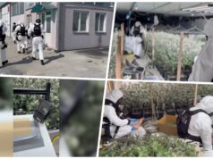 Policija otkrila laboratoriju sa marihuanom u Batajnici, uhapšeno pet osoba Policija otkrila laboratoriju sa marihuanom u Batajnici, uhapšeno pet osoba – laboratorija za marihuanu u Batajnici