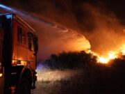 Kako policija utvrđuje da li je požar podmetnut ili slučajan? Jedan detalj može da otkrije istinu Požar u Kovilju zahvatio rastinje, vatrogasci brzo reagovali na terenu