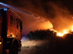 Požar u Kovilju zahvatio rastinje, vatrogasci brzo reagovali na terenu Požar u Kovilju zahvatio rastinje, vatrogasci brzo reagovali na terenu