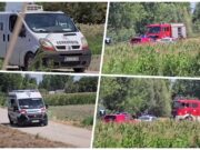 Saobraćajna nesreća kod Novog Sada, troje poginulih u automobilu u kanalu Saobraćajna nesreća kod Novog Sada, troje poginulih u automobilu u kanalu