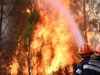 Četiri požara na Ibarskoj klisuri, vatrogasci ulažu napore da lokalizuju vatru Četiri požara na Ibarskoj klisuri, vatrogasci ulažu napore da lokalizuju vatru – požari na Ibarskoj klisuri