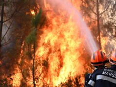 Četiri požara na Ibarskoj klisuri, vatrogasci ulažu napore da lokalizuju vatru Četiri požara na Ibarskoj klisuri, vatrogasci ulažu napore da lokalizuju vatru – požari na Ibarskoj klisuri