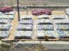 Policija zaplenila 85 kilograma droge u Beogradu, uhapšene tri osobe Policija zaplenila 85 kilograma droge u Beogradu, uhapšene tri osobe – narko-tržište u Beogradu