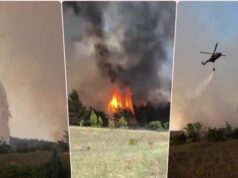 Požar u Deliblatskoj peščari, angažovane vatrogasne i vazdušne snage Požar u Deliblatskoj peščari, angažovane vatrogasne i vazdušne snage