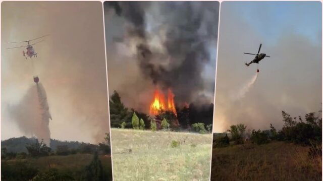Požar u Deliblatskoj peščari, angažovane vatrogasne i vazdušne snage