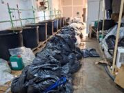 Troje osumnjičenih za 85 kilograma droge u Surčinu, tužilaštvo traži pritvor Troje osumnjičenih za 85 kilograma droge u Surčinu, tužilaštvo traži pritvor – osumnjičeni za 85 kilograma droge
