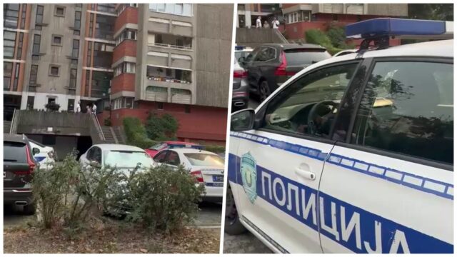 Ubistvo na Novom Beogradu, sin osumnjičen za smrt majke lekarke