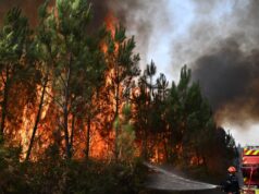Požar u Smederevu, jedan muškarac poginuo, drugi povređen tokom spasavanja Požar u Smederevu, jedan muškarac poginuo, drugi povređen tokom spasavanja