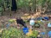 Policija otkrila laboratoriju za uzgoj marihuane kod Grocke, uhapšene dve osobe Policija otkrila laboratoriju za uzgoj marihuane kod Grocke, uhapšene dve osobe – zaplena marihuane kod Grocke