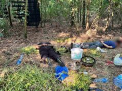 Policija otkrila laboratoriju za uzgoj marihuane kod Grocke, uhapšene dve osobe Policija otkrila laboratoriju za uzgoj marihuane kod Grocke, uhapšene dve osobe – zaplena marihuane kod Grocke