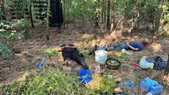 policija-otkrila Policija otkrila laboratoriju za uzgoj marihuane kod Grocke, uhapšene dve osobe – zaplena marihuane kod Grocke