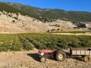 Nesreća sa prikolicom u oblasti Božole, poginuo sedamnaestogodišnjak, povređeno devet osoba Nesreća sa prikolicom u oblasti Božole, poginuo sedamnaestogodišnjak, povređeno devet osoba – nesreća sa prikolicom u Božoleu