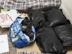 MUNJEVITA AKCIJA POLICIJE: Zaplena marihuane u Staroj Pazovi, uhapšen osumnjičeni sa više od 38 kilograma Zaplena marihuane u Staroj Pazovi, uhapšen osumnjičeni sa više od 38 kilograma