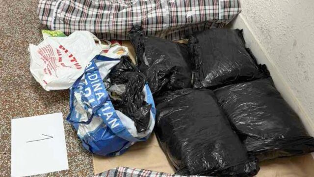 zaplena-marihuane Zaplena marihuane u Staroj Pazovi, uhapšen osumnjičeni sa više od 38 kilograma