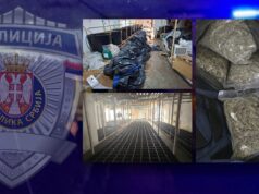 Policija otkrila plantažu konoplje u Boru, uhapšen muškarac zbog sumnje na proizvodnju droge Policija otkrila plantažu konoplje u Boru, uhapšen muškarac zbog sumnje na proizvodnju droge – plantaža konoplje u Boru