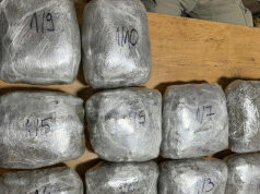 U Novom Pazaru zaplenjeno 10,5 kilograma marihuane, uhapšen vozač iz Ćuprije U Novom Pazaru zaplenjeno 10,5 kilograma marihuane, uhapšen vozač iz Ćuprije