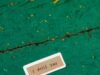 Nestanci koji godinama ostaju misterija: Šta se dešava sa ljudima koji jednostavno iščeznu bez traga Small I miss you note on aged green wooden surface, evoking nostalgia.