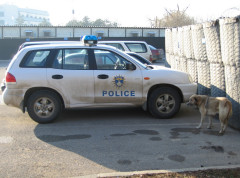 muskarac-priveden Muškarac priveden u Zubinom Potoku zbog sumnje na ratni zločin – ratni zločin u Zubinom Potoku