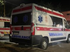 Drvo palo na muškarca kod Prokuplja, teško povređen tokom seče Drvo palo na muškarca kod Prokuplja, teško povređen tokom seče
