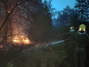 Požar na Suvoj planini i Deliblatskoj peščari, vetar otežava gašenje Požar na Suvoj planini i Deliblatskoj peščari, vetar otežava gašenje