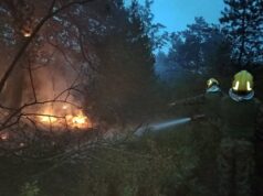 Požar na Suvoj planini i Deliblatskoj peščari, vetar otežava gašenje Požar na Suvoj planini i Deliblatskoj peščari, vetar otežava gašenje