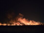 Požar u Višnjičkoj Banji, plamen vidljiv iz više delova grada Požar u Višnjičkoj Banji, plamen vidljiv iz više delova grada