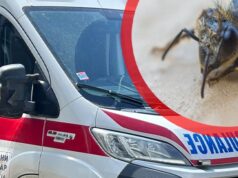 Dva mladića preminula posle ujeda insekata u Priboju i Obrenovcu Dva mladića preminula posle ujeda insekata u Priboju i Obrenovcu – ujed insekata Priboj
