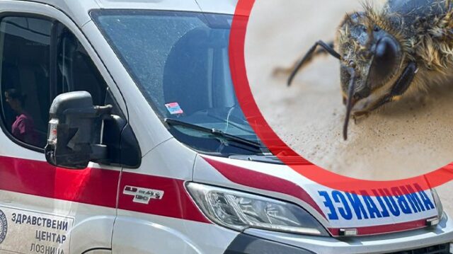 Dva mladića preminula posle ujeda insekata u Priboju i Obrenovcu – ujed insekata Priboj
