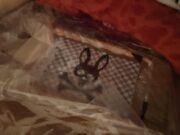 VELIKA AKCIJA: Policija zaplenila više od kilogram kokaina u Novom Sadu, uhapšen osumnjičeni Policija zaplenila više od kilogram kokaina u Novom Sadu, uhapšen osumnjičeni – zaplena kokaina u Novom Sadu